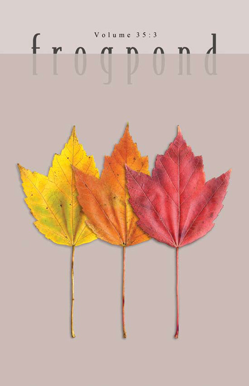32-1 cover